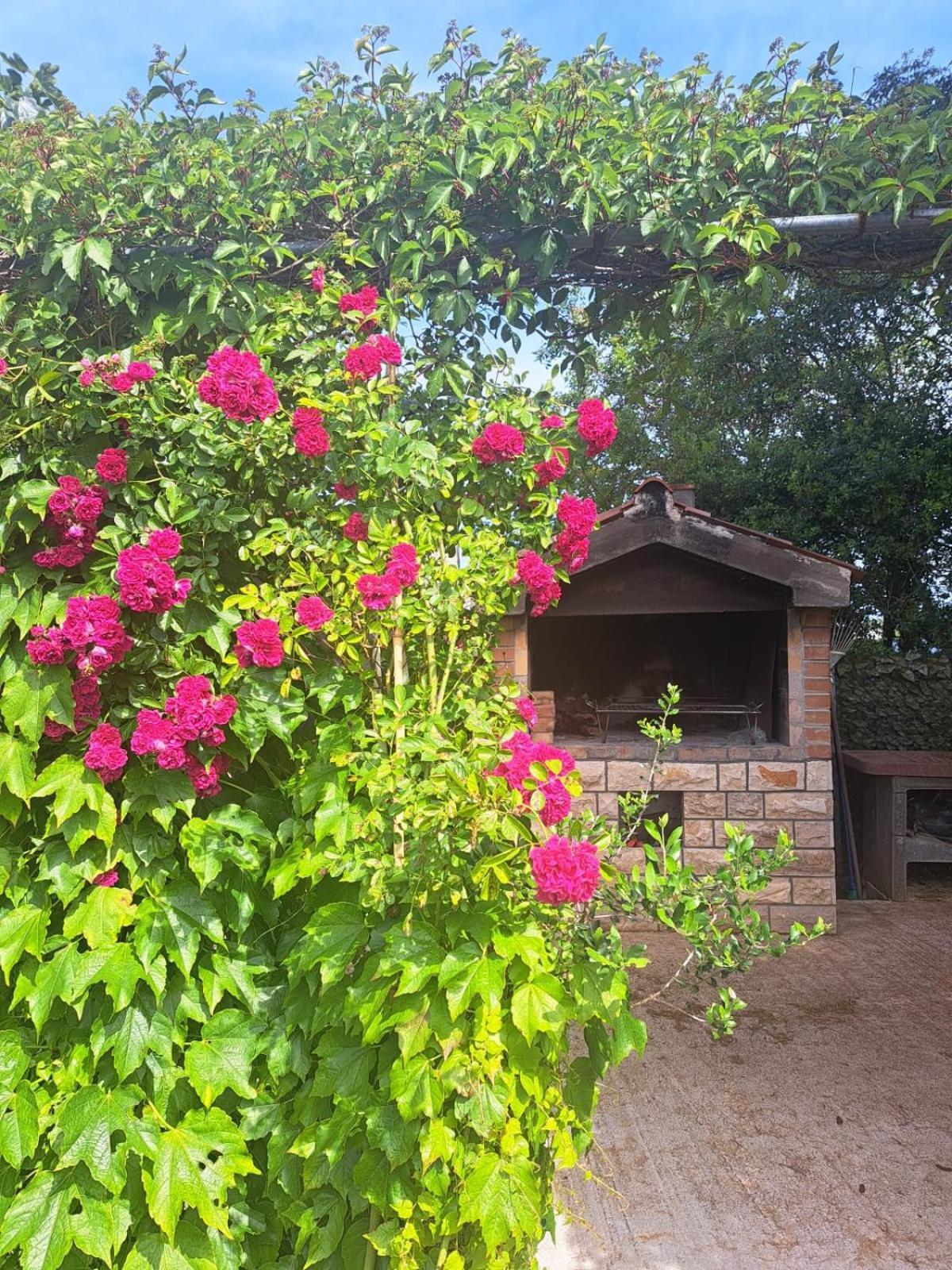 Apartman Melita Galizana Exterior photo